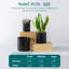 FLHPOT Ceramic Pot Planter-332050599