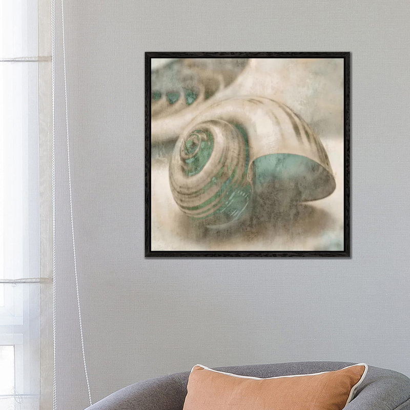 Coastal Gems II by John Seba - Print on Canvas, 66.04 cm H x 66.04 cm W, Black Floater Framed