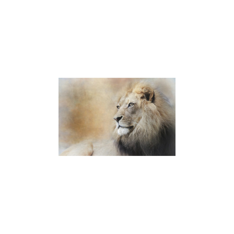 Wrapped Canvas Print, 50.8 cm H x 76.2 cm W