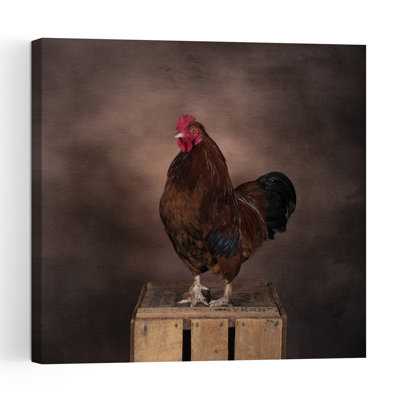 Proud Brown Rooster Rustic Abstract Contemporary Bird Landscape Nature Wall Art Print 1 Piece Wrapped Canvas Wall Art