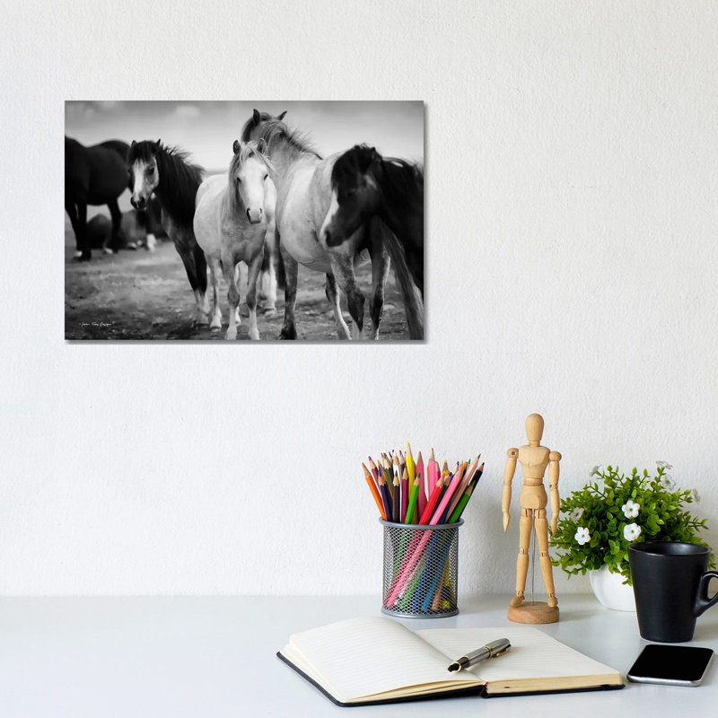 Black And White Horses - Print on Canvas, 20.32cm H x 30.48cm W x 1.91cm D, Wrapped Canvas