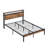 Hubele Metal Platform Bed with USB LINER and LED Lights-2043846624