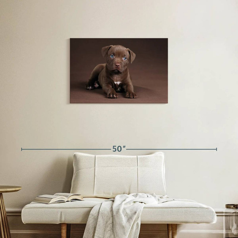 Brampt Pit Bull Puppy, 20" H x 30" W