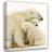 Polar Bear Family-2115987245