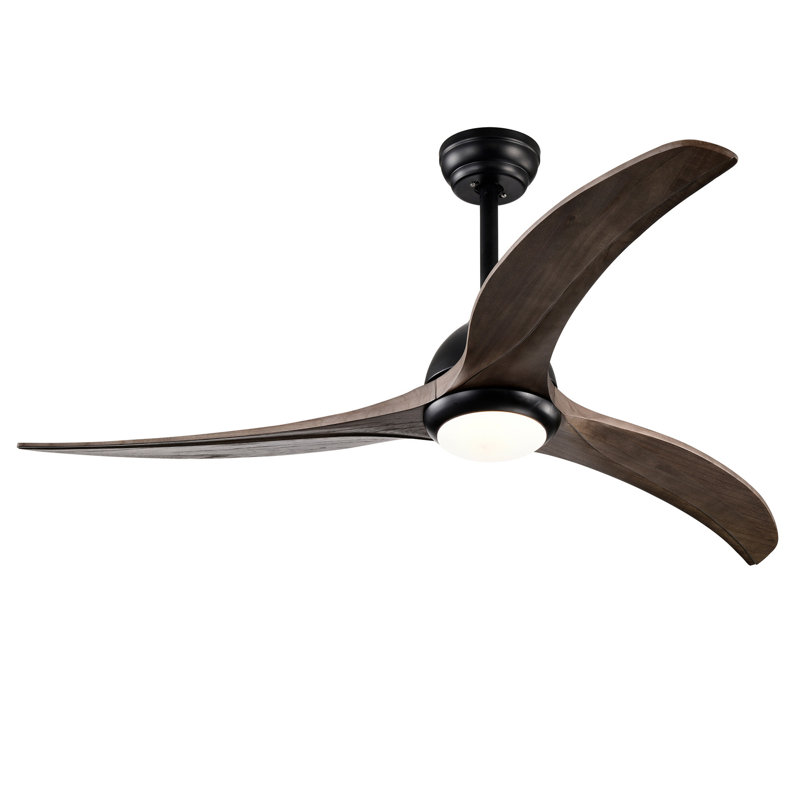 Ventilateur de plafond 52 po, Noir mat, Brun