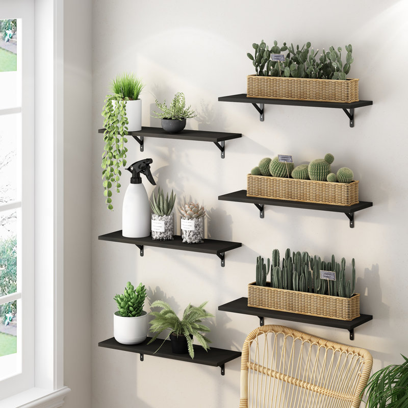 6 Piece Floating Shelf, 0.6" H x 23.6" W x 7.8" D, Espresso