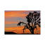 «Joshua Tree Sunrise» par Brian Wolf - impression sur toile tendue-55903188