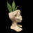 Muggly's Aunt Tia Maria Face Statue Planter-49635849