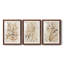 Parchment Coral I - ensemble de 3 reproductions de cadres photo-207375872-207375886