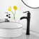 Vessel Sink Faucet Single-handle Bathroom Faucet with Drain Assembly