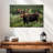 Brampt Colorado Bull Moose-108821865