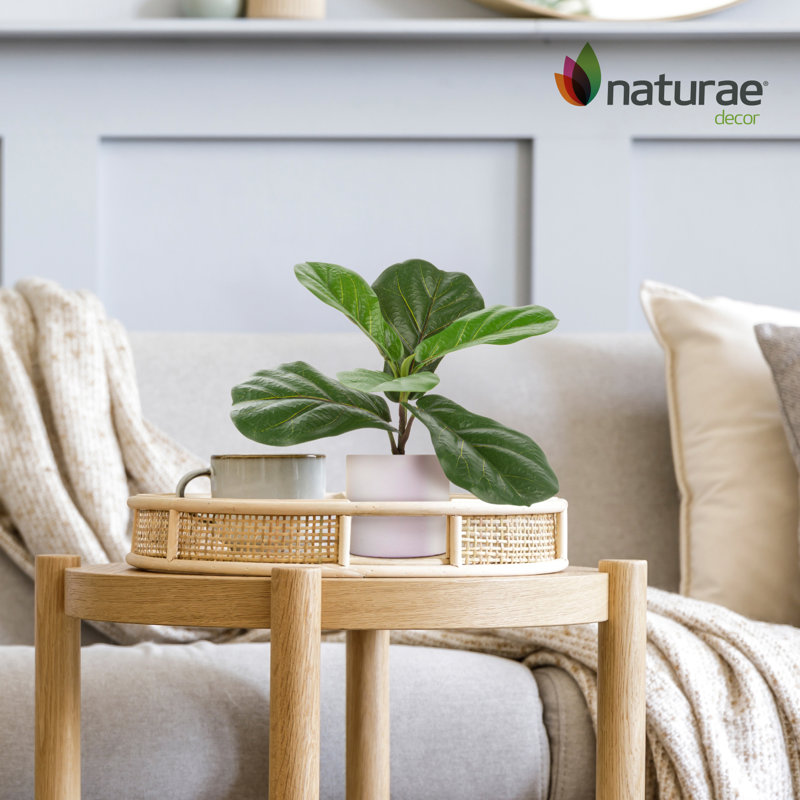 Artificial Ficus 12-in