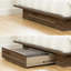 Lensky Queen Low Profile Platform Bed
