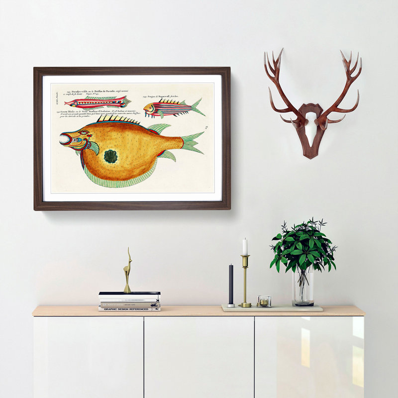 East Indies Fish Illustrations XXX by Louis Renard - Picture Frame Graphic Art Print, 48cm H x 65cm W x 2cm D, Walnut Framed