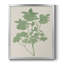 Toile encadrée de qualité supérieure Vintage Garden I - prête à être accrochée-166345399-166345396
