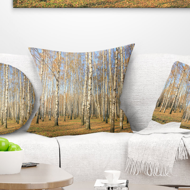 Coussin d'automne Autumn Birch Grove in Sunlight, 16 po x 1 po, Carré