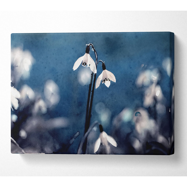 Opened Snowdrops - Wrapped Canvas Print