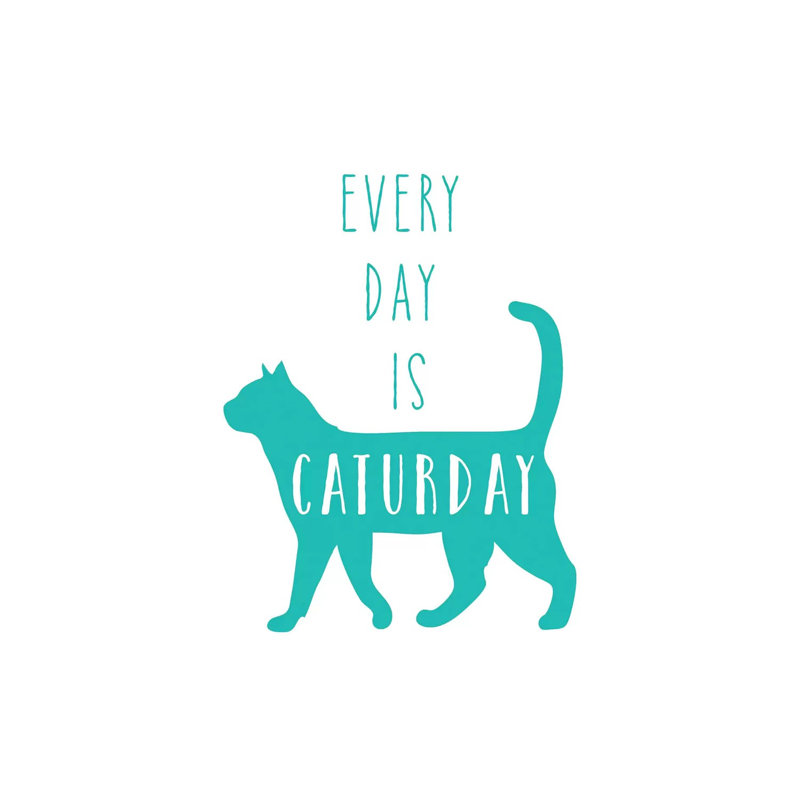 Caturday by Amanda Murray - Wrapped Canvas Print, 45.72 cm H x 45.72 cm W x 3.175 cm D