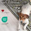 Petit tapis de sol Woodlands-1176302012