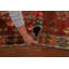 Tapis de couloir Antique Antique
