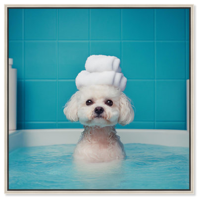 «Fluff in the Tub Canvas» par Art Remedy