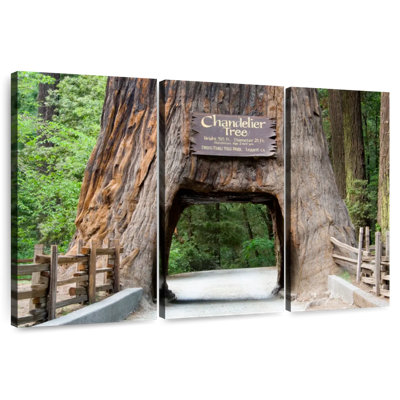 Harnek Chandelier Tree Tunnel
