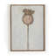 Poppy Dia Painting by Paul Meyer-1968796375