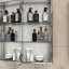Miroir pour armoire à pharmacie Landseer-38075767-38075761