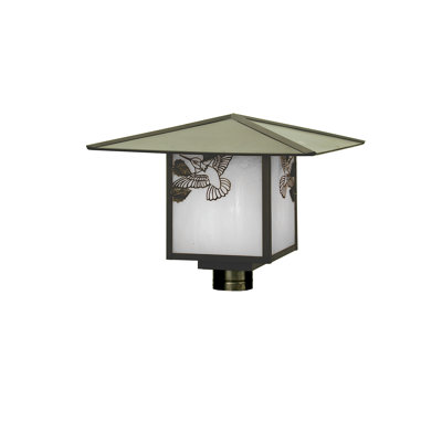 Tête de lanterne colibri Wydra
