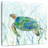 Brampt Sea Turtle Swim II-109207399