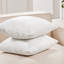  Housse de coussin carré en velours-277615399-277615402