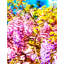 Panneau mural lisse 24 panneaux-628413317