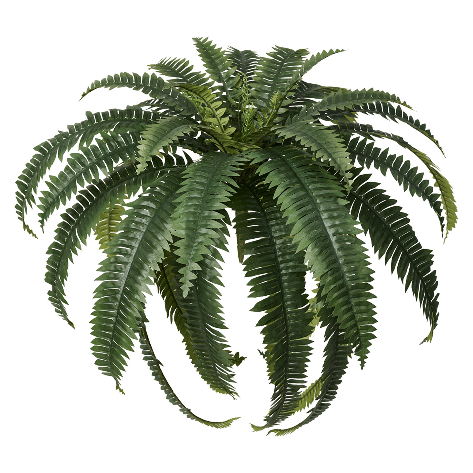 Adcock 39" Fern Plant, 1