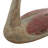 Fernet Animals Figurines & Sculptures-240027413