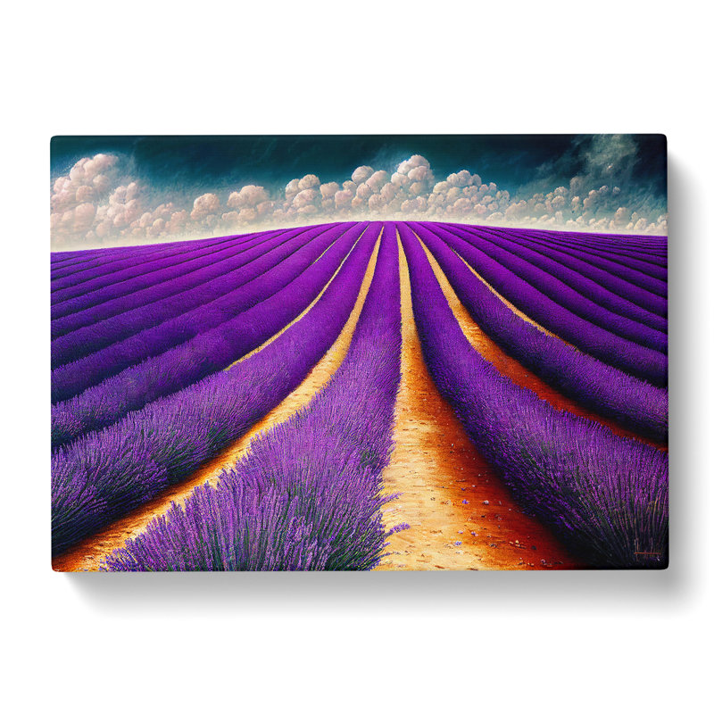 Thrilling Lavender Flower Field - Wrapped Canvas, 35cm H x 50cm W x 3cm D