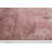 Oriental Indoor Rug-2027366816