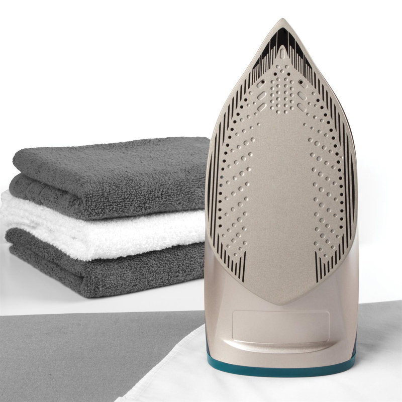 Beldray Iron