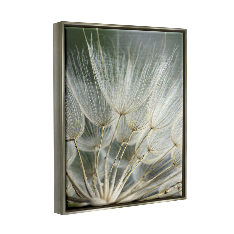 Photographie de pissenlit doux, H 21 po x l 17 po x P 1,7 po, Cadre flottant gris lustré