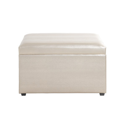 Eitvydas 65cm W Faux Leather Rectangle Ottoman with Storage