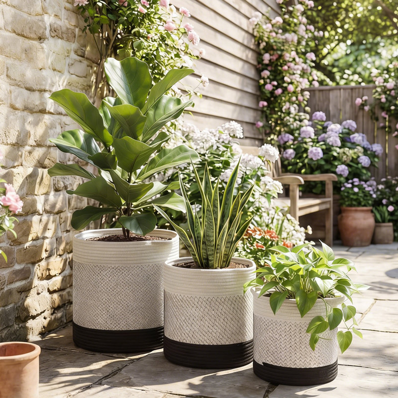 Pot Planter