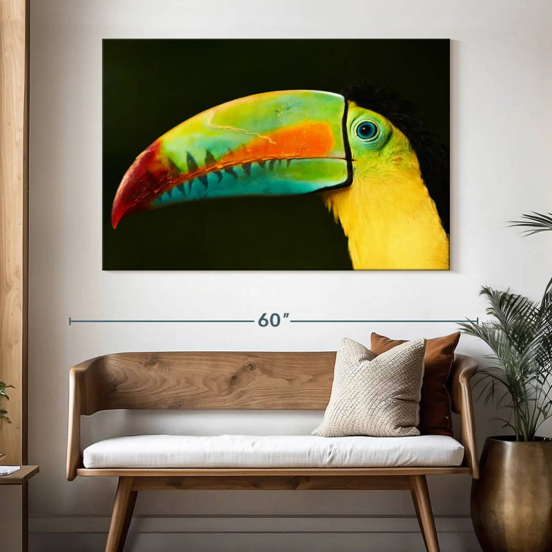 Brampt Toucan's Long Beak, 34" H x 51" W