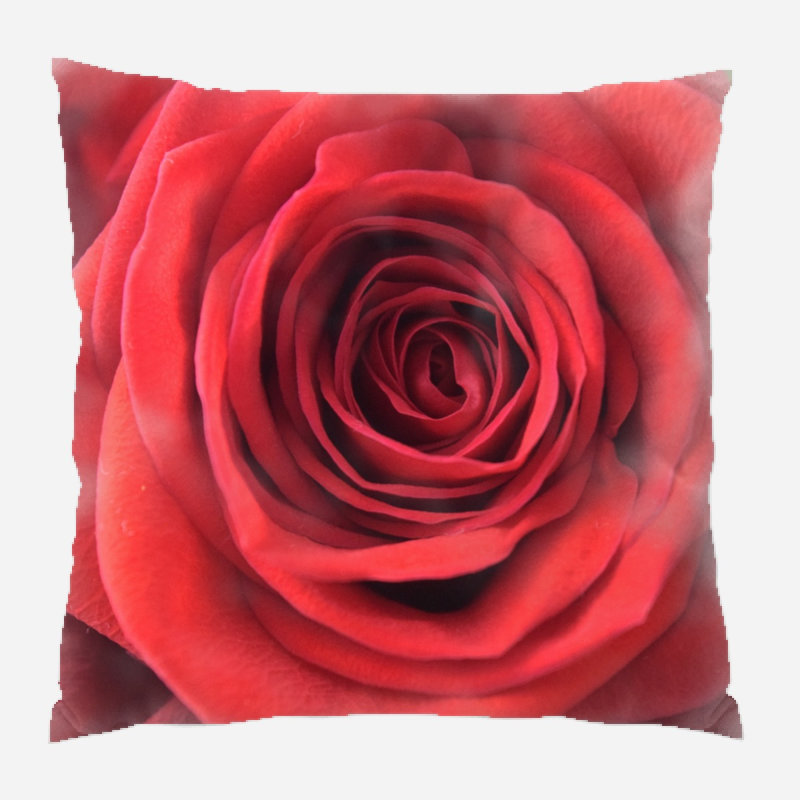 Housse et insert de coussin carré Dierks Rose, Microsuède, Intérieur