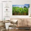 Plantation de bananes Harnek