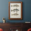 " Species Of Antique Fish III "-961370888-968837327