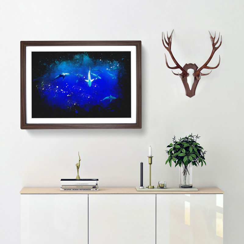 Oahu Sharks - Single Picture Frame Print on MDF, Walnut Framed, 24cm H x 33cm W x 2cm D