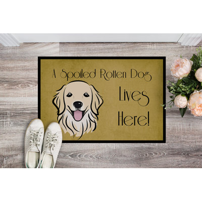 Tunnelhill Non-Slip Outdoor Doormat