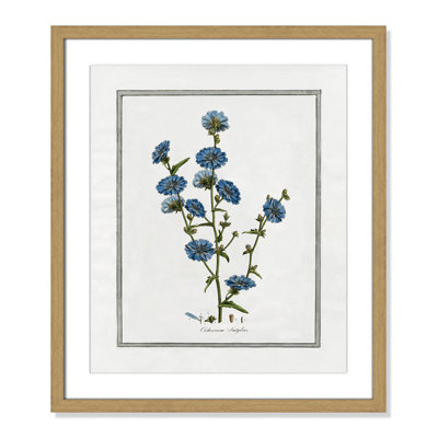 Colombe "Soft Botanical I" Print