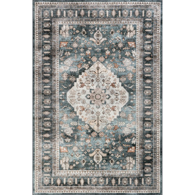 Davi Faded SplashGuard Machine Washable Area Rug