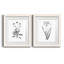Inky Botanical I - ensemble de 2 peintures-1624088041-1624088043