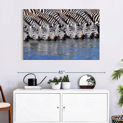 Crowle Zebras buvant de l'eau